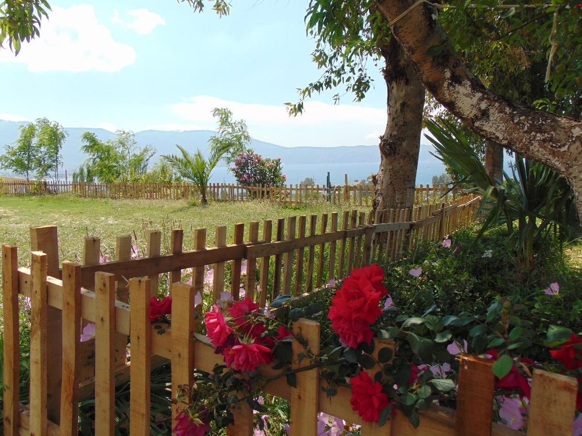 Residence Jazoj Vlorë Exteriér fotografie