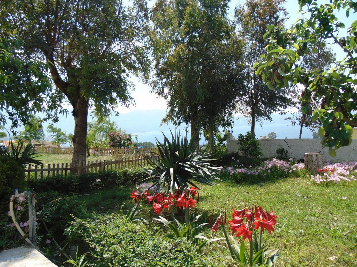 Residence Jazoj Vlorë Exteriér fotografie