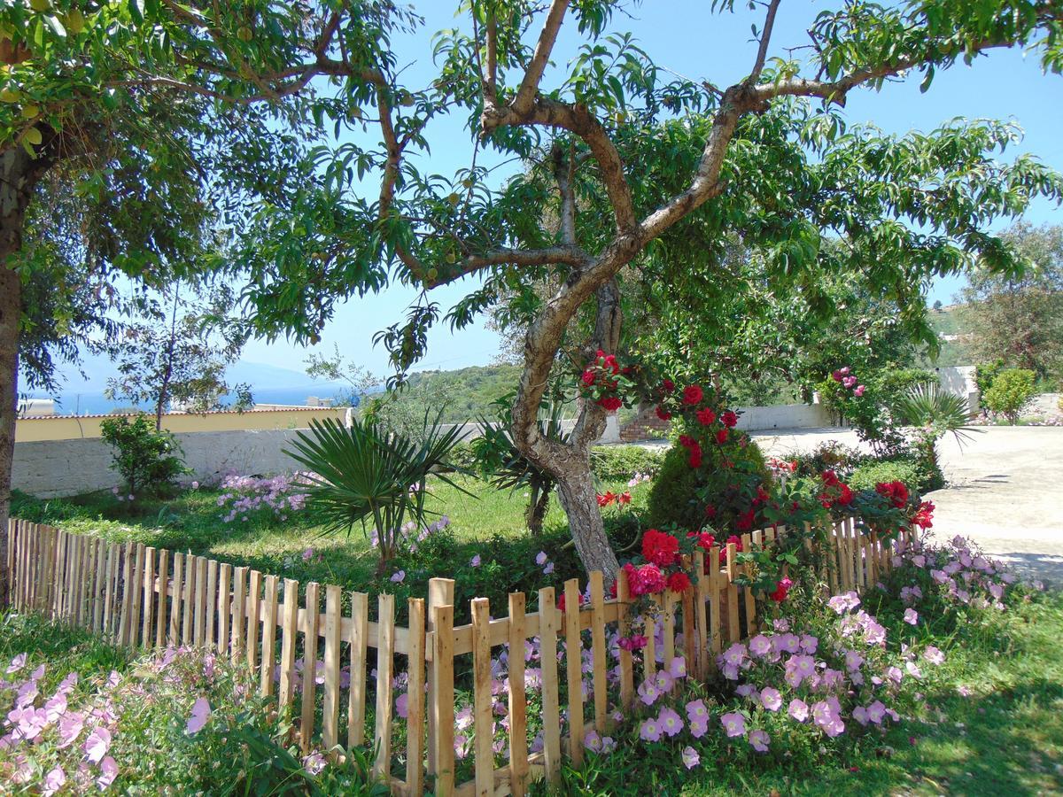 Residence Jazoj Vlorë Exteriér fotografie